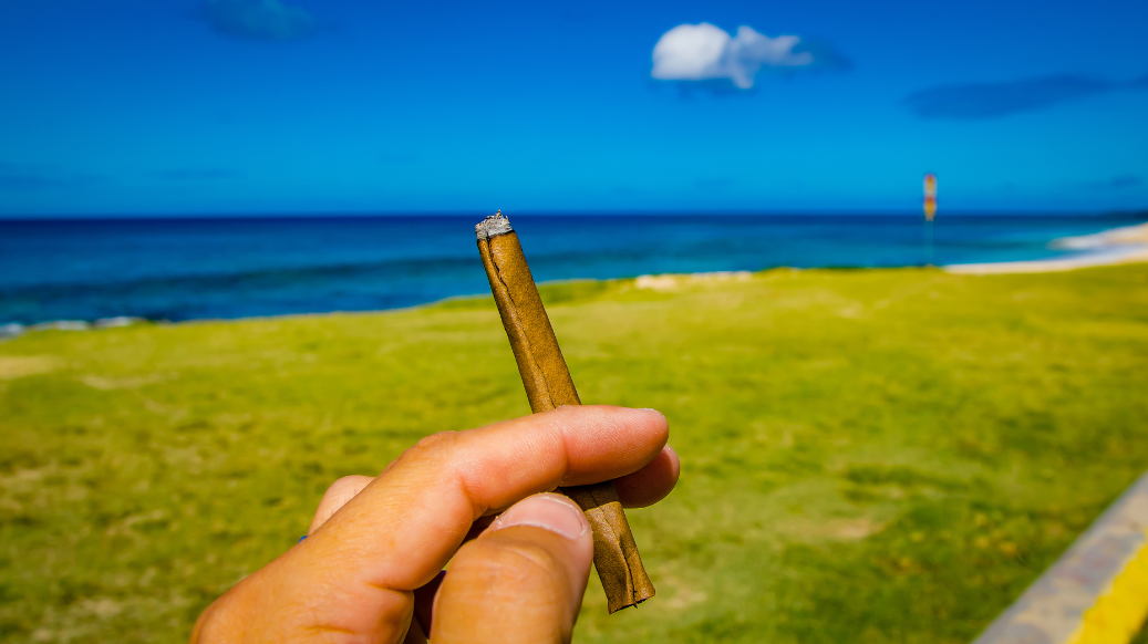 A cannabis blunt smoking out near the shoreline